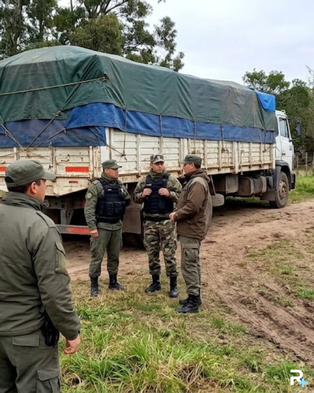 Investigan el robo de 70 toneladas de cereal: tres detenidos en allanamientos en Cavanagh y Arias